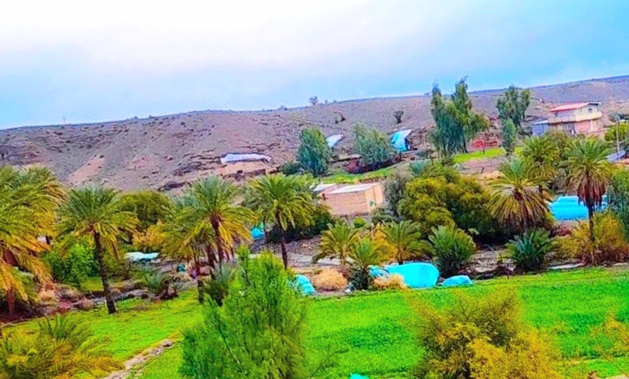 تصویر روستا
