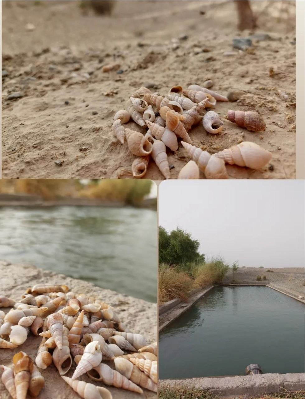 تصویر روستا